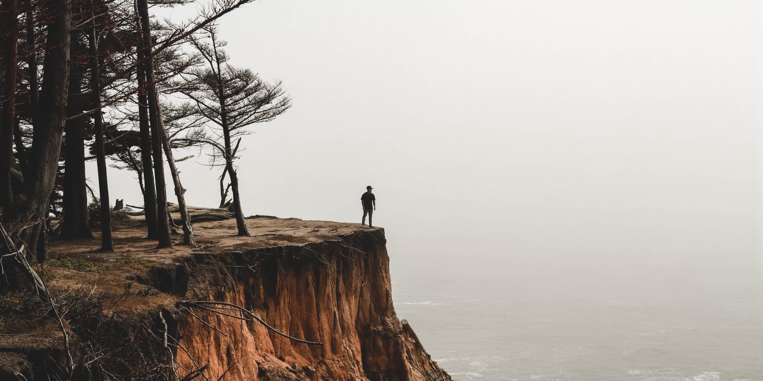 alan-tang-ZriVXRZbFqk-unsplash